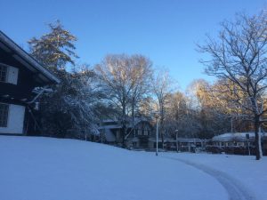 Residence Rhenen Winter Wedding