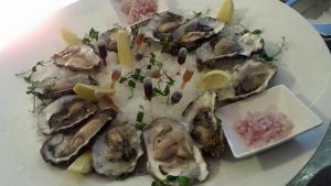 oesters